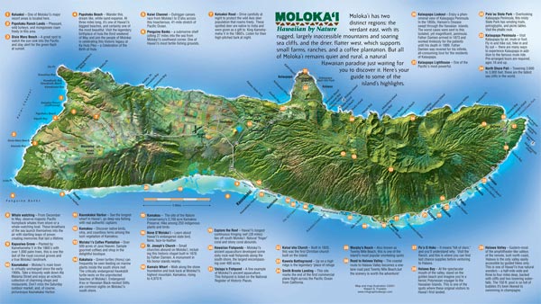 molokai-map-brochure.jpg